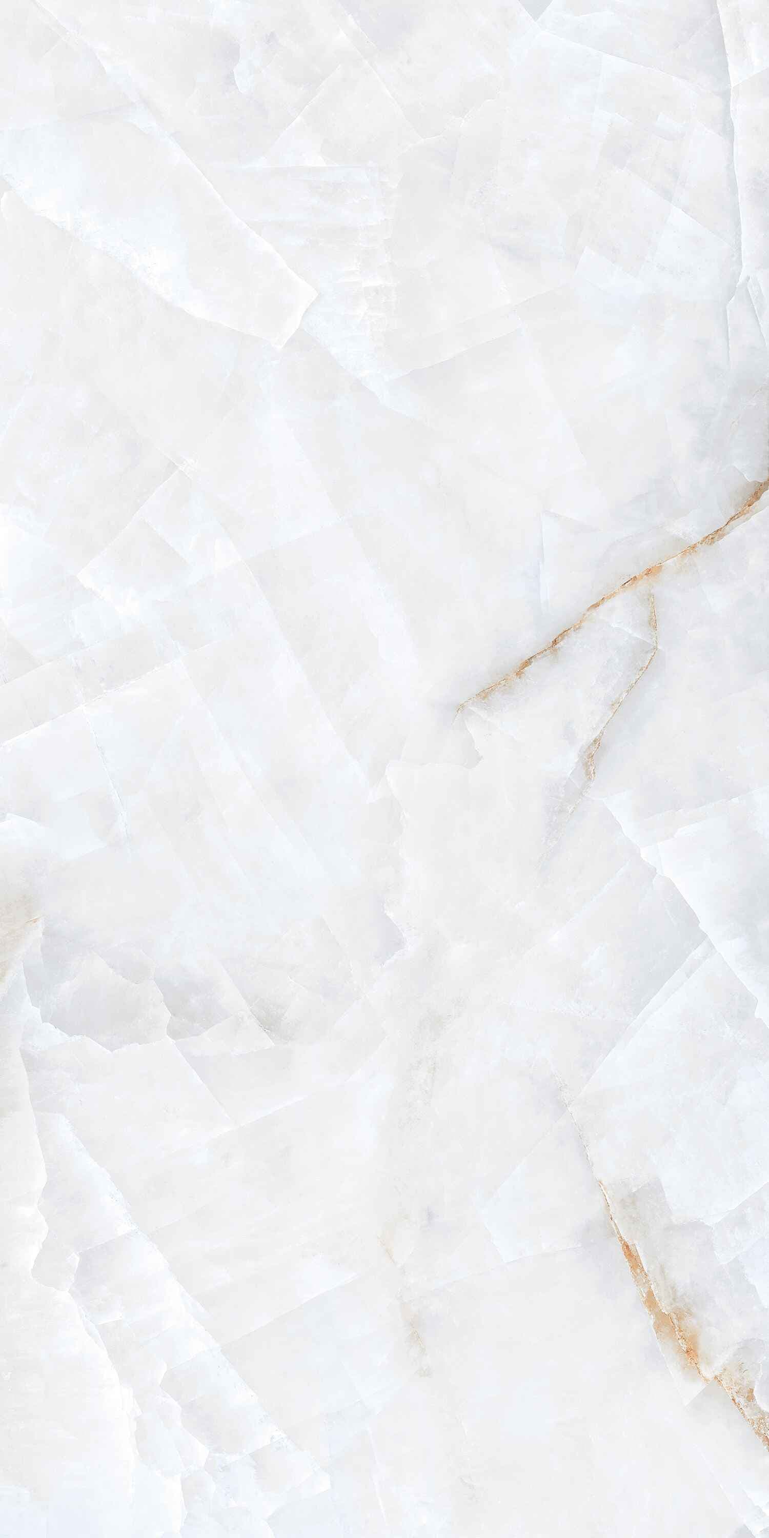 ONYX RISSOTO — image 2