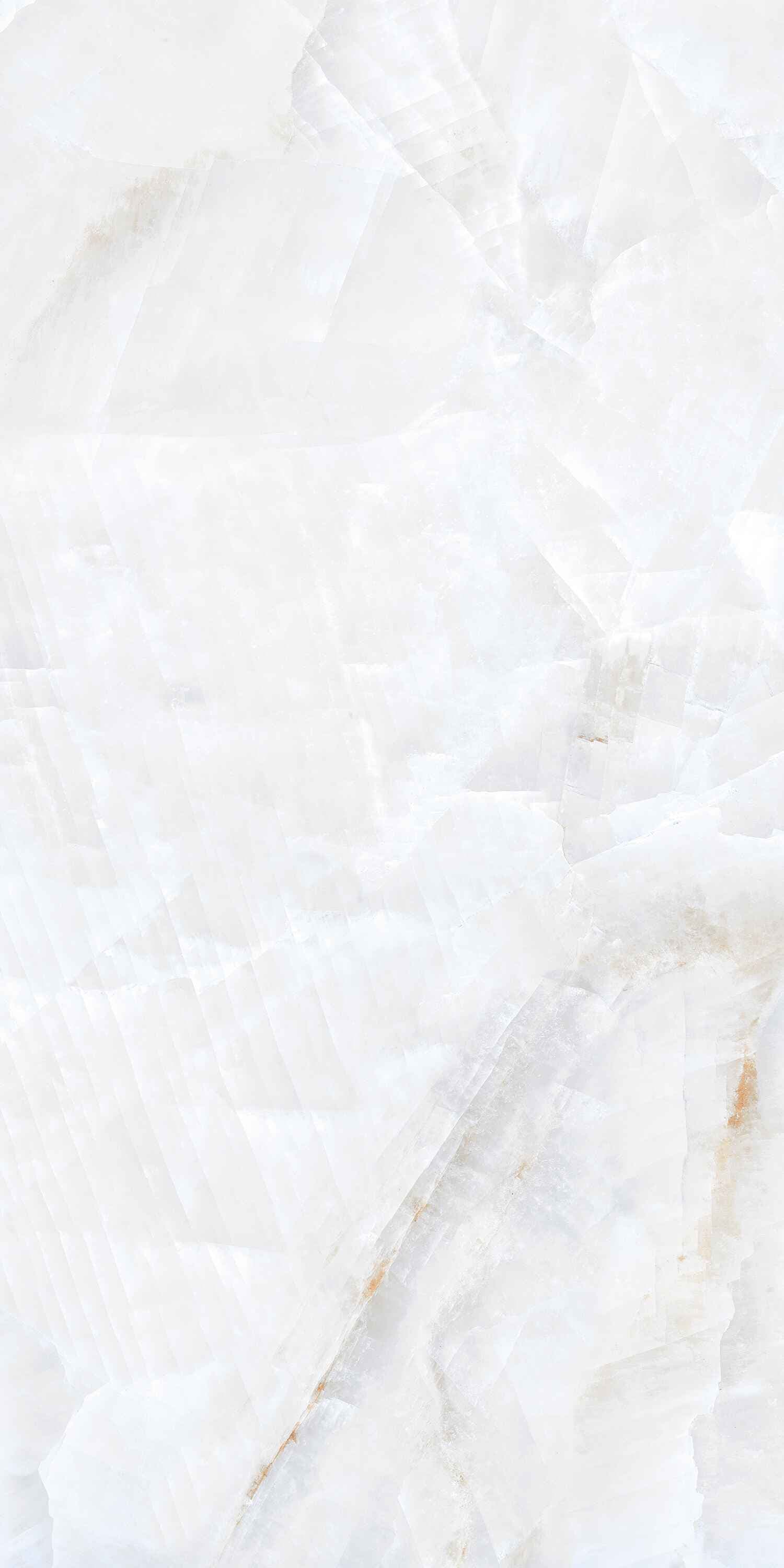 ONYX RISSOTO — image 3