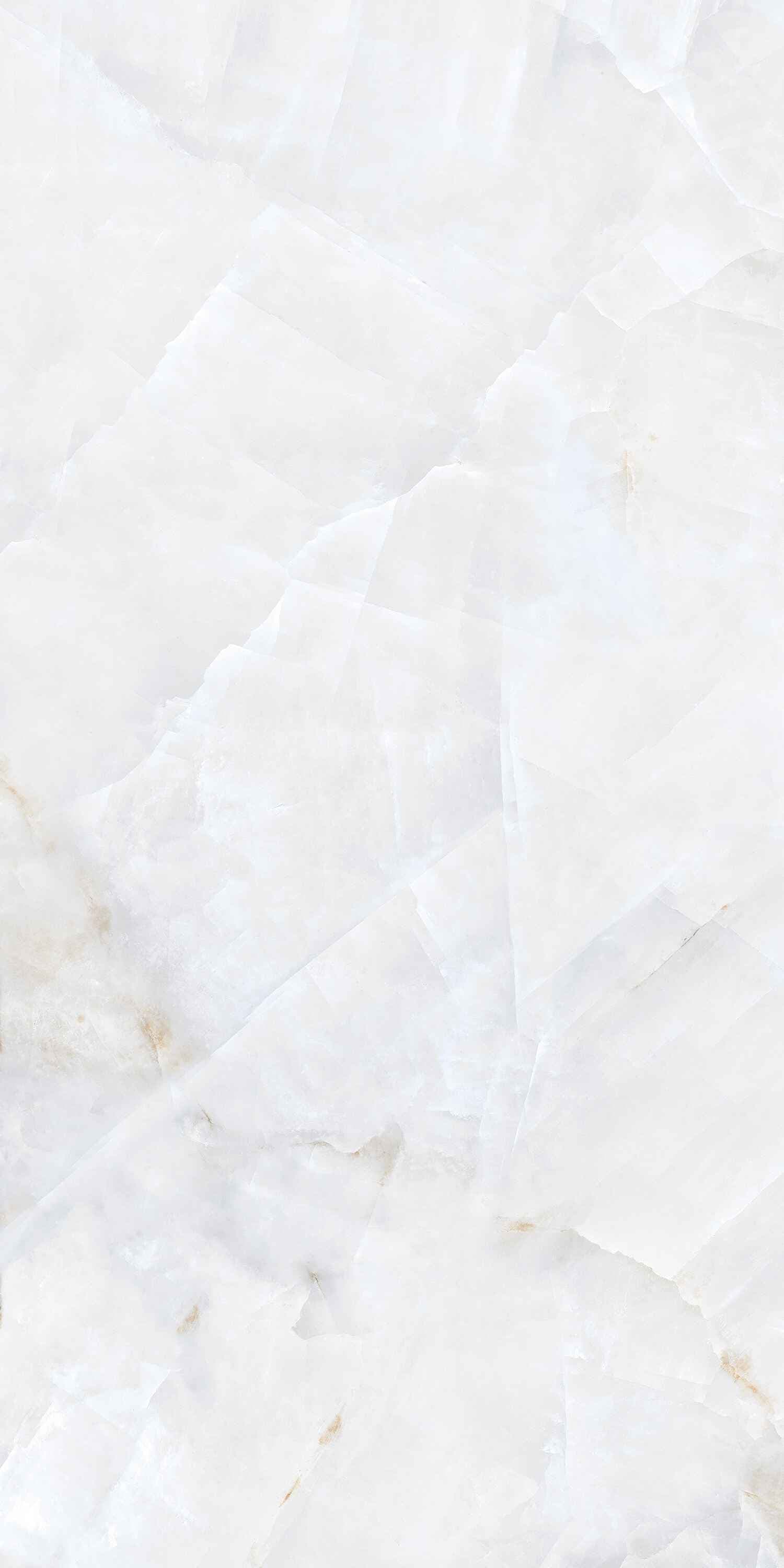 ONYX RISSOTO — image 4